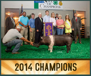 2014 Champions