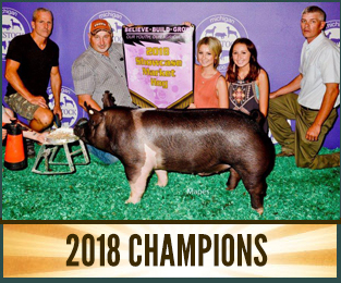 2015 Champions