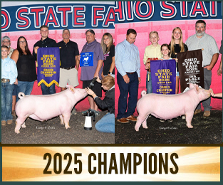 2025 Champions