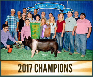 2015 Champions