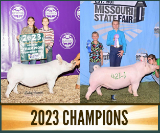 2015 Champions